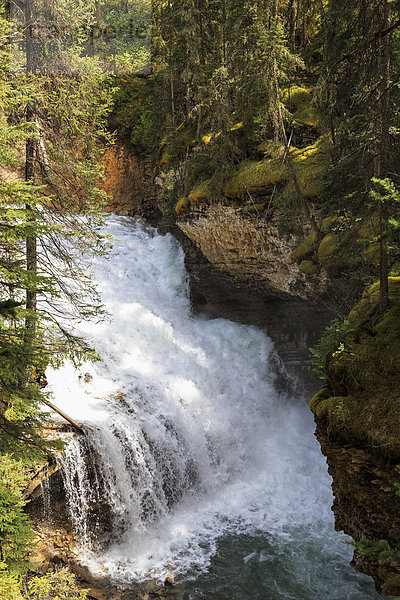 Kanada  Alberta  Banff National Park  Johnston Creek  Johnston Canyon  Wasserfall