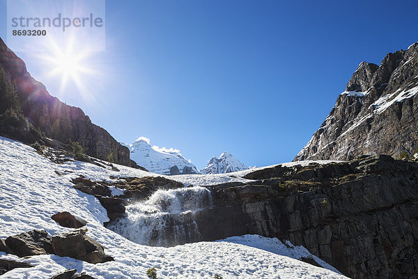 Kanada  Britisch-Kolumbien  Yoho Nationalpark  Wasserfall auf dem Alpine Circuit