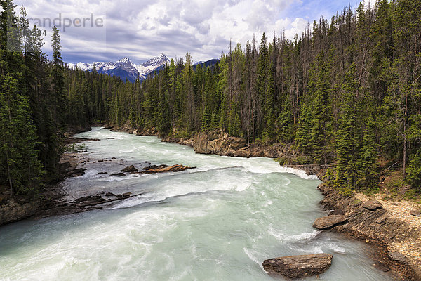 Kanada  British Columbia  Yoho Nationalpark  Naturbrücke  Kicking Horse River