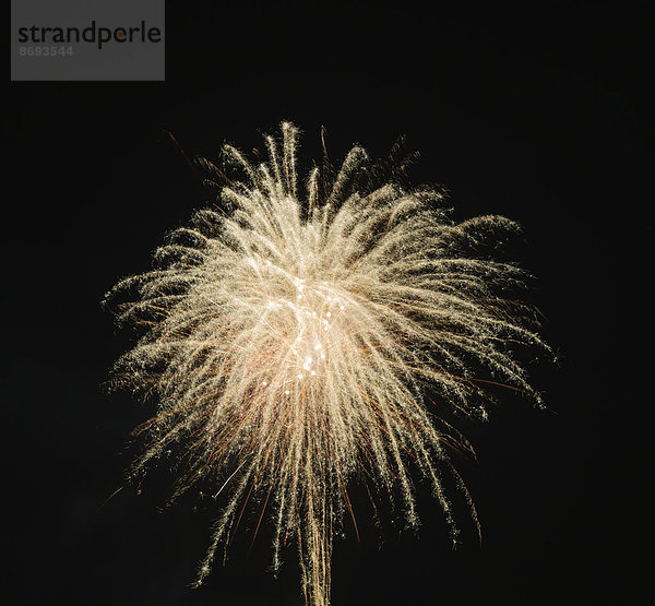 Deutschland  Bayern  Kochel am See  Feuerwerk am Nachthimmel