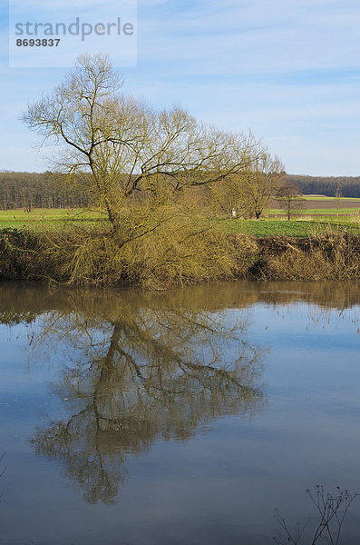 Deutschland  Hessen  Limburg  Baum- und Wasserspiegelungen an der Lahn