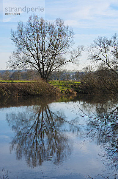 Deutschland  Hessen  Limburg  Baum- und Wasserspiegelungen an der Lahn