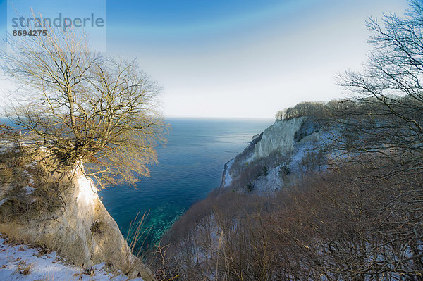 Deutschland  Mecklenburg-Vorpommern  Rügen  Nationalpark Jasmund im Winter