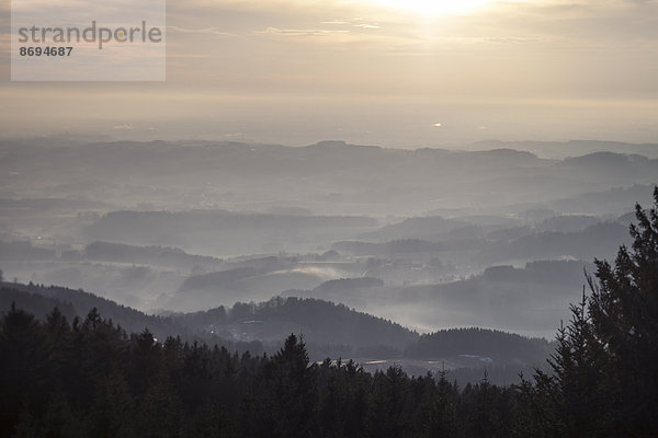 Deutschland  Bayern  Sankt Englmar  Blick über den Bayerischen Wald