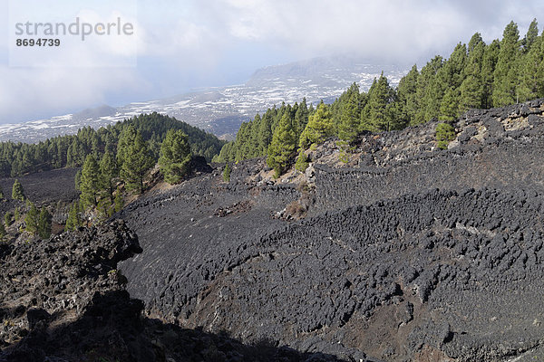 Spanien  Kanarische Inseln  La Palma  Coladas de San Juan  Cumbre Vieja  Lavastrom