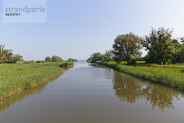 Österreich  Vorarlberg  Hard  Dornbirn Ach  Naturschutzgebiet Rhein-Delta