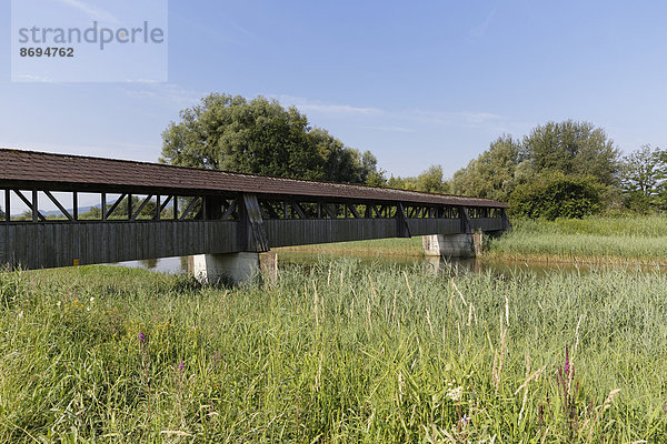 Österreich  Vorarlberg  Hard  Brücke über Dornbirn Ach  Naturschutzgebiet Rhein-Delta