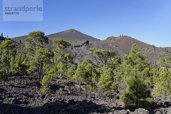 Spanien  Kanarische Inseln  La Palma  Vulkan San Martin  Cumbre Vieja bei Fuencaliente