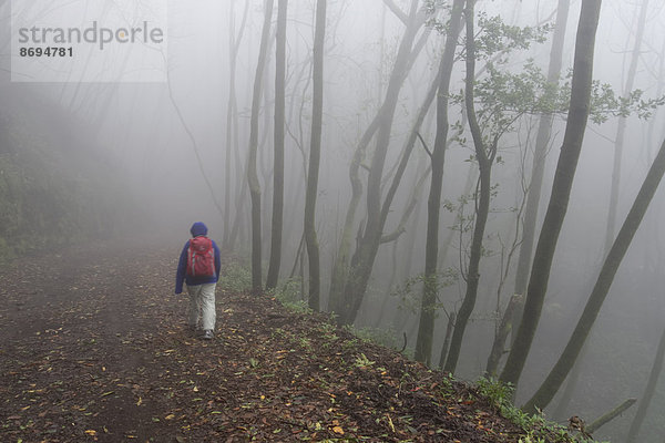 Spanien  Kanarische Inseln  La Palma  Nebelwald bei Cumbre Nueva bei Brena Alta  Frau beim Wandern
