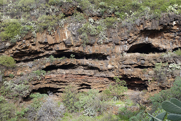 Spanien  Kanarische Inseln  La Palma  Höhlen Cuevas de Buracas bei Las Tricias