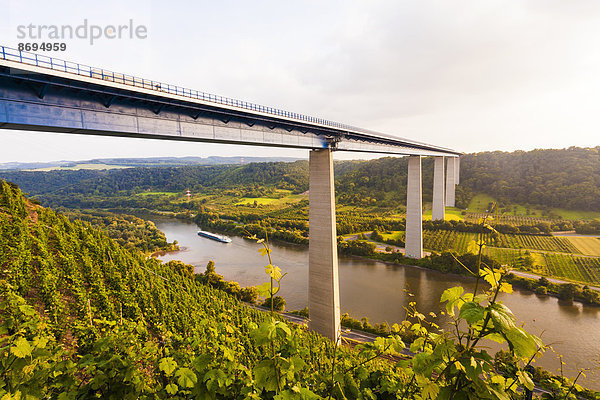 Deutschland  Koblenz  Blick auf die Autobahnbrücke Moselviadukt über das Moseltal