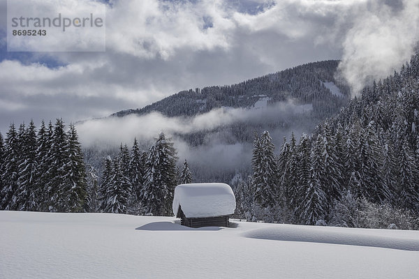 Holzhütte von viel Schnee bedeckt  Lesachtal  Obertilliach  Osttirol  Österreich