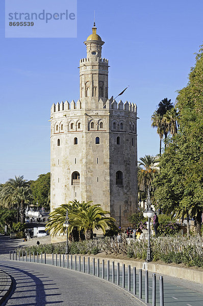 Torre del Oro  Goldturm  Schifffahrtsmuseum  Uferpromenade  Sevilla  Andalusien  Spanien