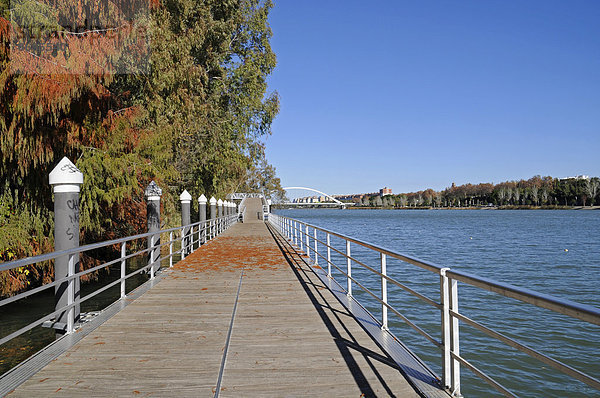 Holzsteg  Uferpromenade an dem Fluss Guadalquivir  hinten die Brücke Puente de la Barqueta  Sevilla  Andalusien  Spanien