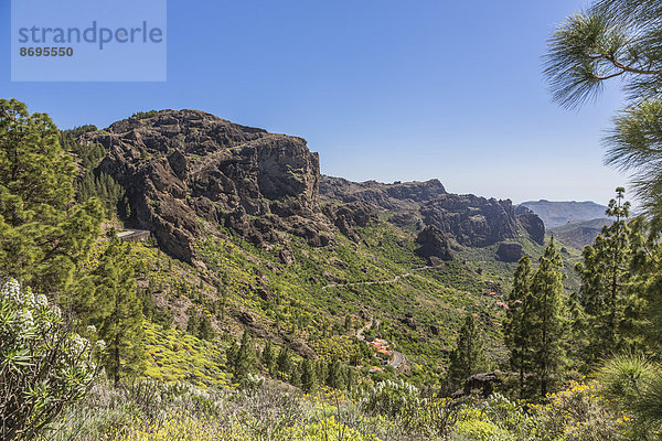 Aussicht vom Wanderweg bei Roque Nublo  Berglandschaft  Gran Canaria  Kanarische Inseln  Spanien