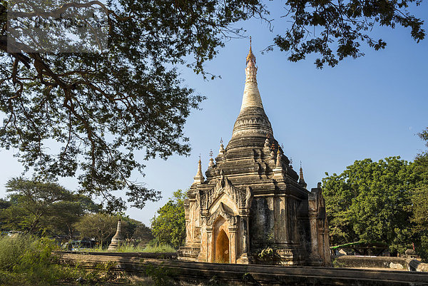 Tempel  Stupa  Pagode  Tempelanlage  Ebene von Bagan  Mandalay-Division  Myanmar
