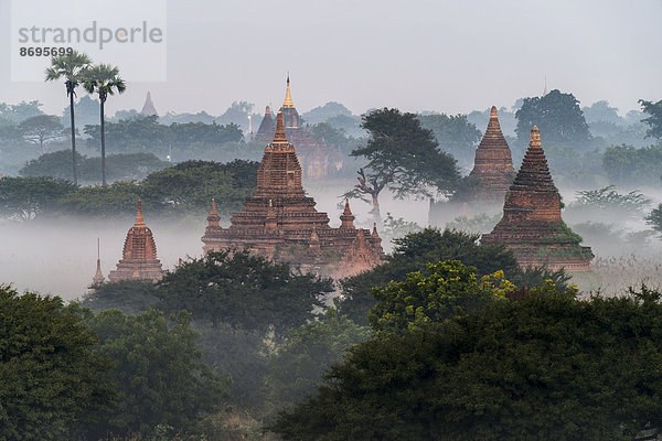 Tempel im Morgennebel  Stupa  Pagode  Tempelanlage  Ebene von Bagan  Mandalay-Division  Myanmar