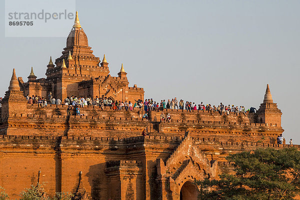 Menschen auf dem Pyathadar- oder Pyathatgyi-Tempel  Stupa  Pagode  Tempelanlage  Ebene von Bagan  Mandalay-Division  Myanmar
