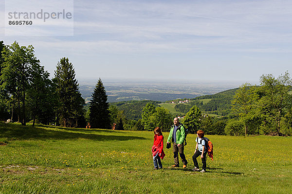 Wanderer auf dem Weg zum Brotjacklriegel  bei Langfurth  Bayerischer Wald  Niederbayern  Bayern  Deutschland