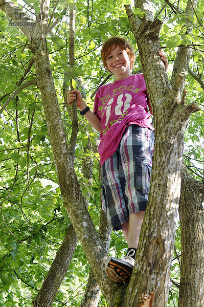Junge klettert auf einen Baum  Nationalpark Bayerischer Wald  Niederbayern  Bayern  Deutschland