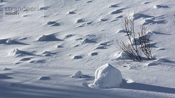 Schneelandschaft  Eisenerzer Alpen  Steiermark  Österreich