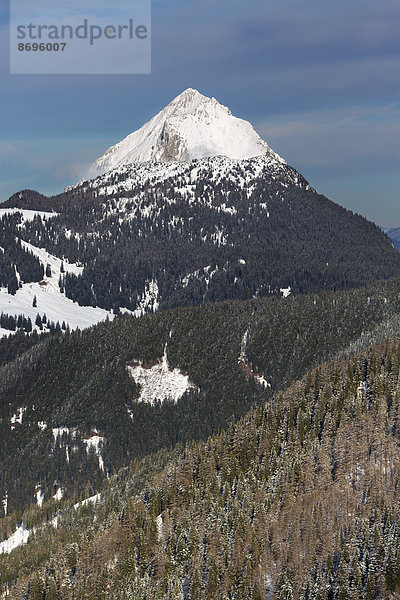 Lugauer  Nationalpark Gesäuse  vom Blaseneck Gipfel gesehen  Eisenerzer Alpen  Steiermark  Österreich