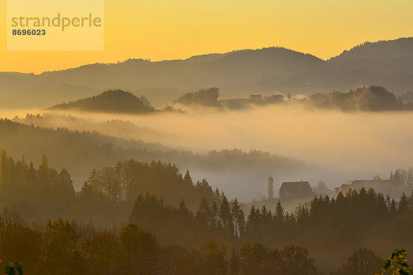 Morgennebel im südsteirischen Hügelland  Südsteirische Weinstraße  Steiermark  Österreich