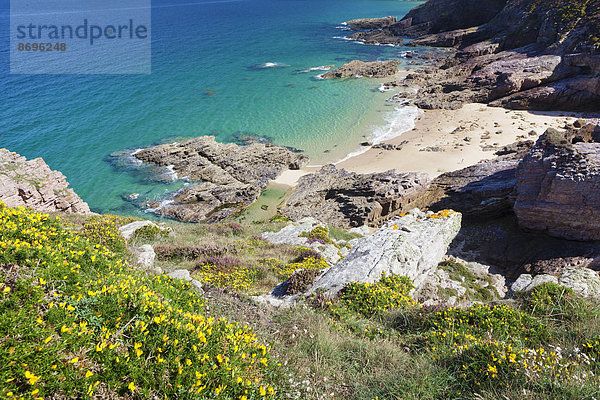 Steilküste am Cap Frehel  Bretagne  Frankreich