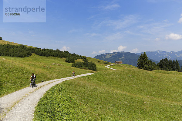 Radfahrer auf Feldweg  Eggatsbergvorsäß bei Schetteregg  Bregenzerwald  Vorarlberg  Österreich