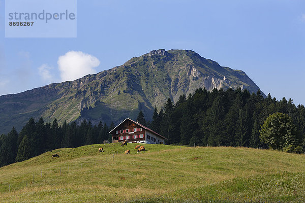 nahe Berg Österreich Vorarlberg Bregenzer Wald