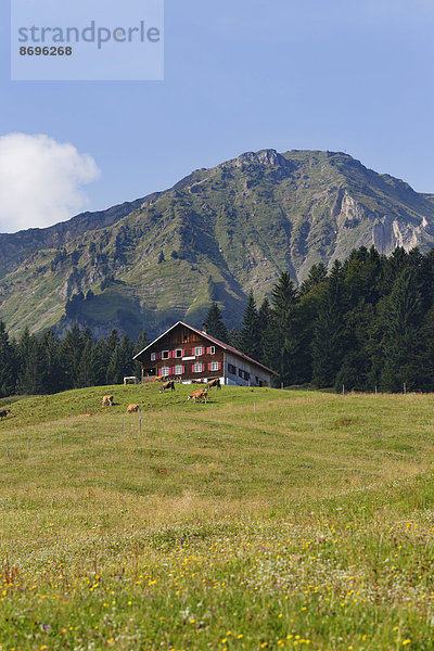 nahe Berg Österreich Vorarlberg Bregenzer Wald