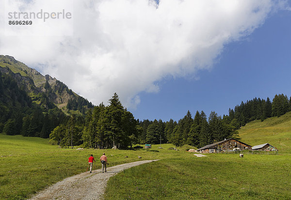 Obere Falzalpe bei Schetteregg  Egg  Bregenzerwald  Vorarlberg  Österreich