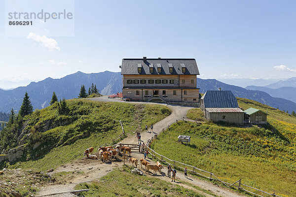 Bayern Deutschland Oberbayern Mangfallgebirge