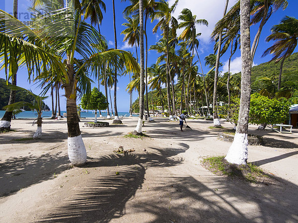 Strand mit Palmen in der Marigot Bay  Region Castries  St. Lucia  Inseln über dem Winde  Kleine Antillen  St. Lucia
