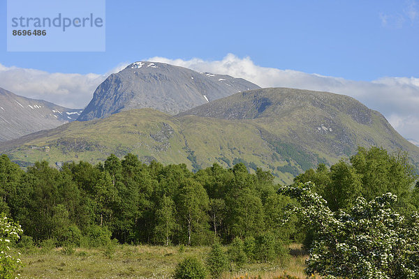 Ben Nevis  1344 m  Glen Nevis  Grampian Mountains  Schottland  Großbritannien