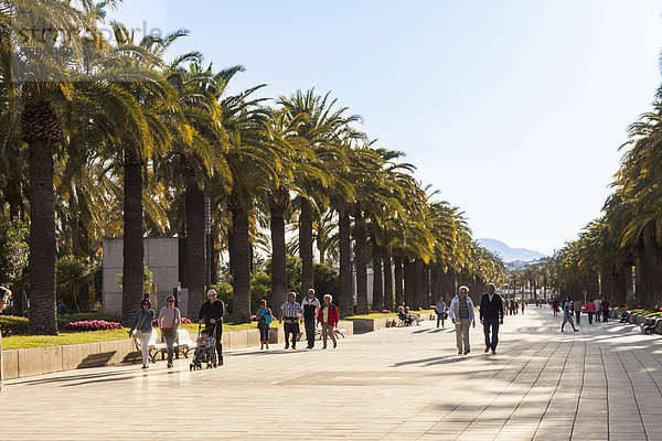 Spaziergänger auf der Palmenpromenade  Salou  Region Katalonien  Spanien