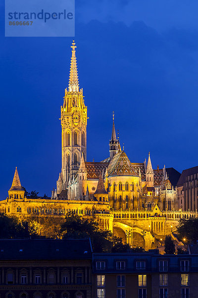 Burgberg mit Matthiaskirche in der blauen Stunde  Budapest  Ungarn