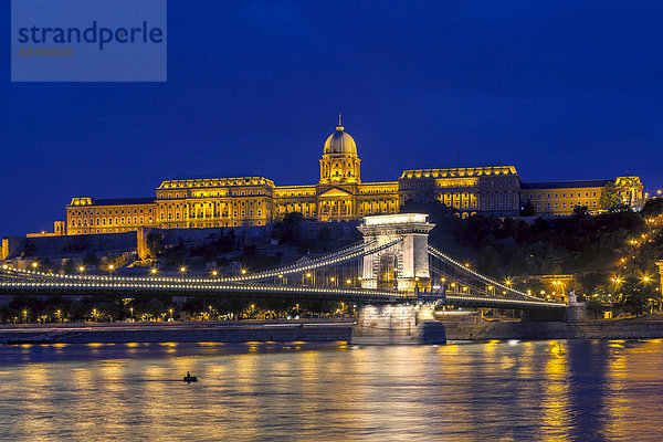 Kettenbrücke mit Burgberg in der blauen Stunde  Budapest  Ungarn