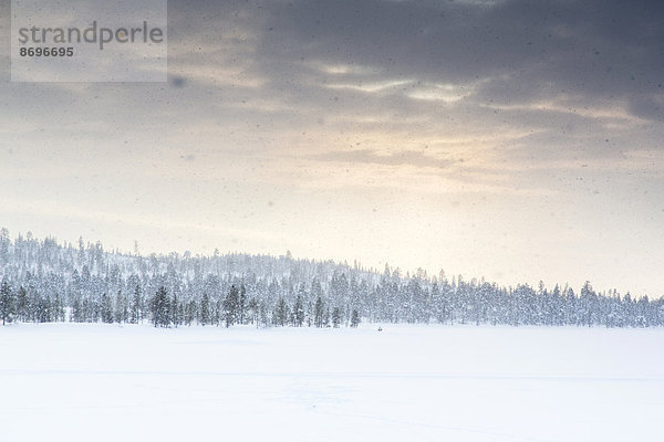 Schneelandschaft  bei Inari  Finnland