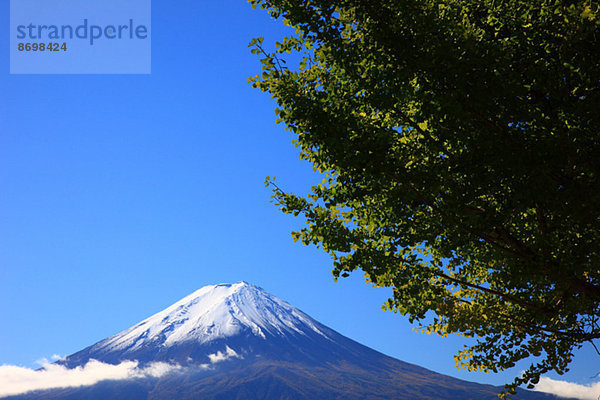 Fujisan