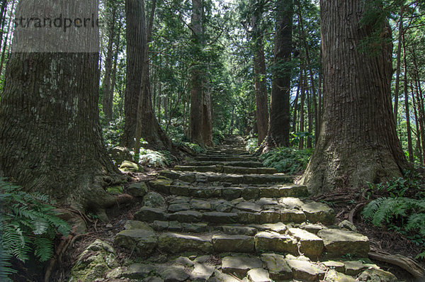 Yoshino Kumano National Park  Wakayama Prefecture