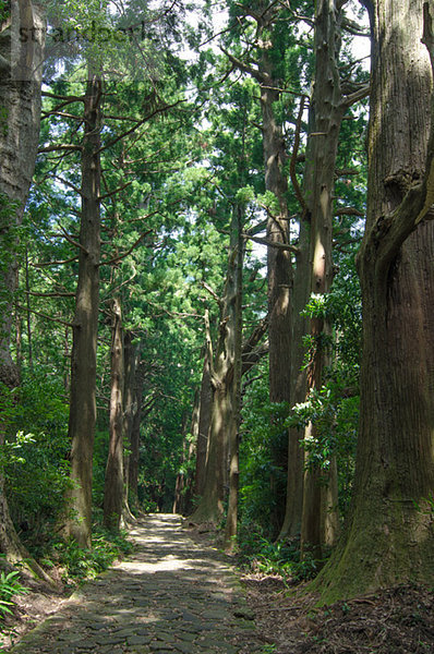 Yoshino Kumano National Park  Wakayama Prefecture