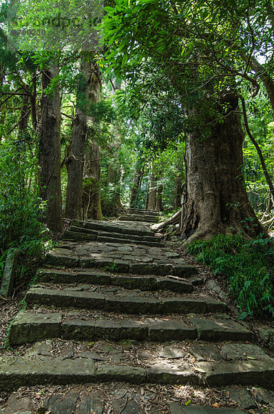 Yoshino Kumano National Park  Wakayama Prefecture