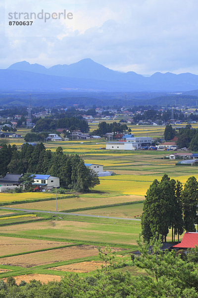 Iwate Japan