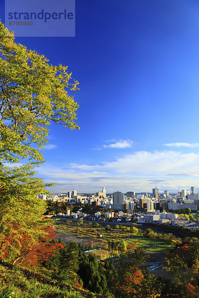 Sendai cityscape