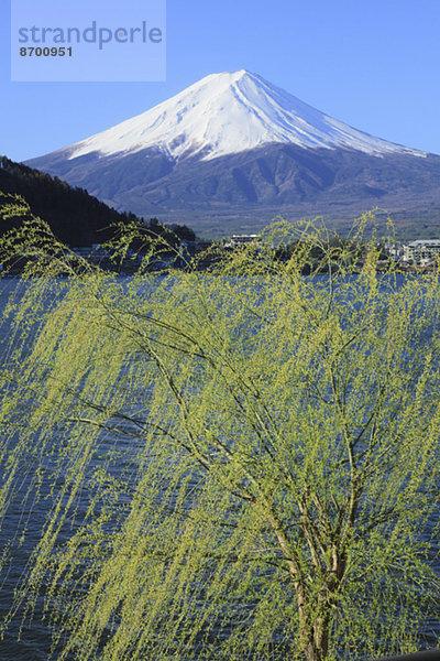 Fujisan