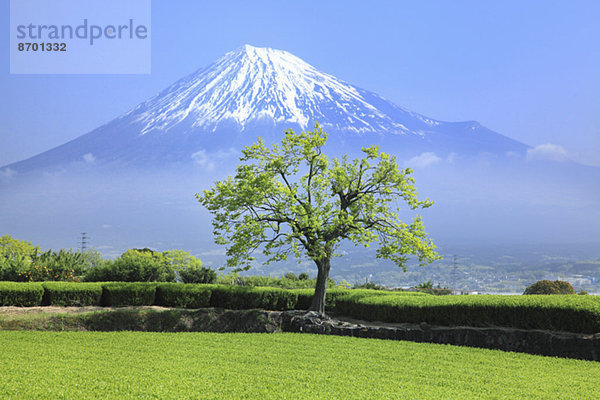 Fujisan