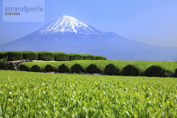 Fujisan