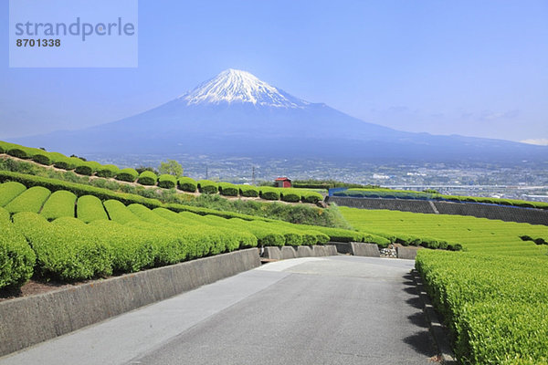 Fujisan