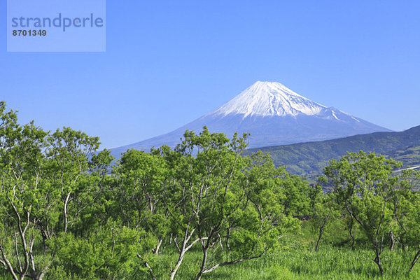 Fujisan